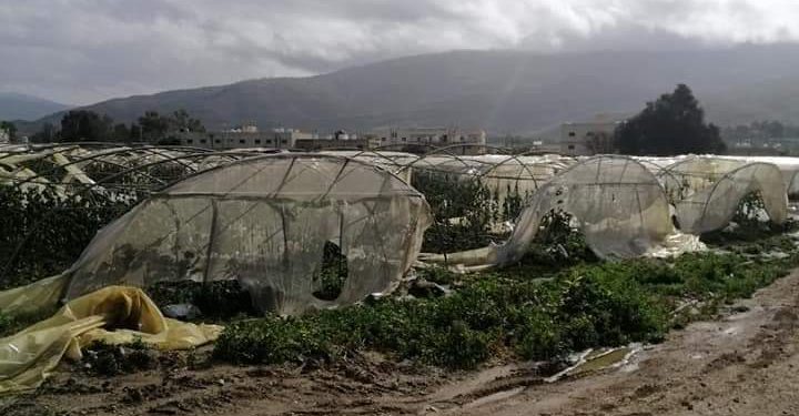 “العمل الإسلامي” يطالب الحكومة باتخاذ إجراءات عاجلة لتعويض مزارعي الأغوار