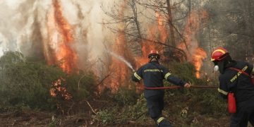“العمل الإسلامي” يعزي دولة الجزائر بضحايا حرائق الغابات